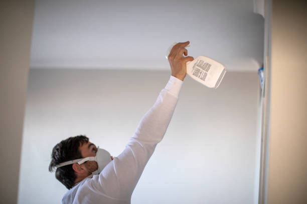 Best Residential Mold Removal  in Crystal River, FL