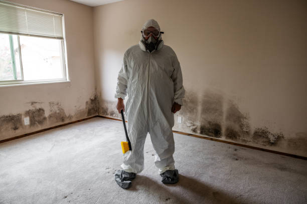 Best Emergency Mold Removal  in Crystal River, FL